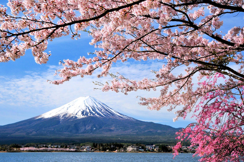 Da Tokyo: Crociera ad Hakone ed escursione di un giorno alla quinta stazione del Monte Fuji