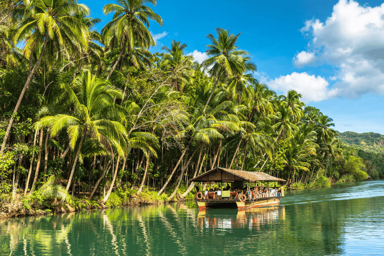 Excursão de um dia a Bohol saindo da cidade de Cebu ou Mactan (tour particular)