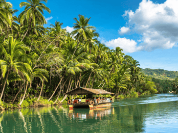 Tour di un giorno a Bohol da Cebu o Mactan (tour privato)