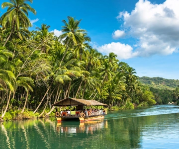 Bohol Day Tour From Cebu City or Mactan (Private Tour)
