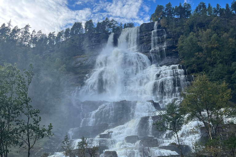 Bergen: Guided tour to Njardarheimr Viking Village Departure from Jekteviken Cruise Port, Bergen