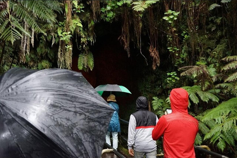 Hawaii Hilo Volcano Day Tour from Oahu Island