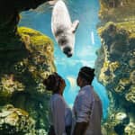 Genova: biglietto d'ingresso per l'Acquario di Genova