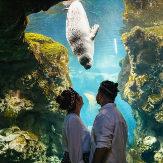 Aquarium van Genua: ticket met tijdslot