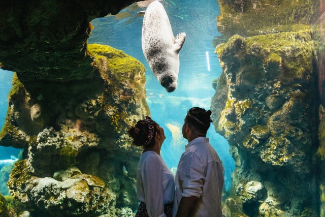 Visit Genoa Aquarium of Genoa Timeslot Entry Ticket in Camogli