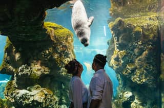 Genova: biglietto d'ingresso per l'Acquario di Genova
