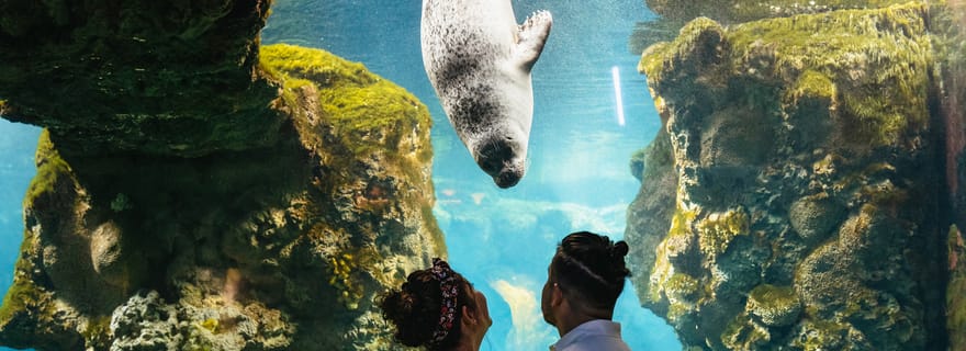 Genova: biglietto d'ingresso per l'Acquario di Genova
