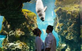 Genoa: Aquarium of Genoa Timeslot Entry Ticket