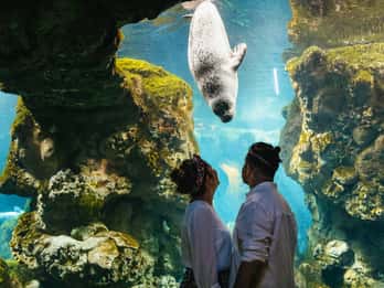 Genua: Ticket für das Aquarium von Genua