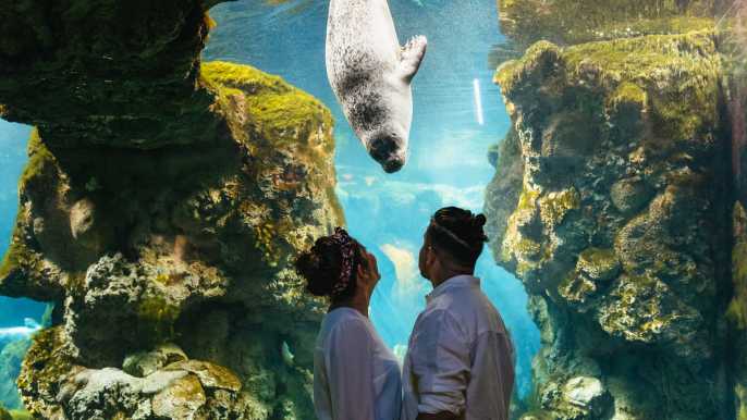 Aquarium of Genoa: Timeslot Ticket