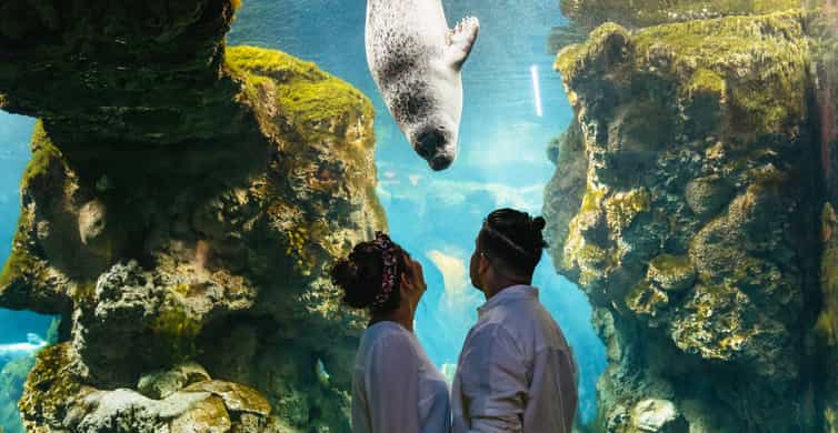 Decorazione dell'acquario di Natale -  Italia