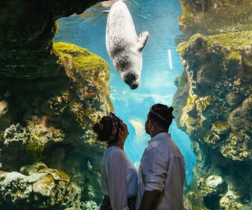 Genua: bilet wstępu do oceanarium (przedział czasowy)