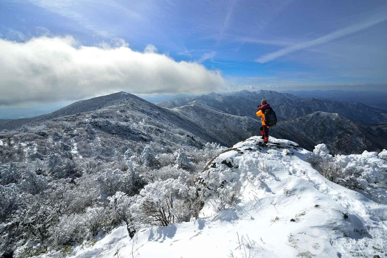 From Seoul: Suwon Hwaseong and Deogyusan Winter Tour Hongik Univ Station Exit 4