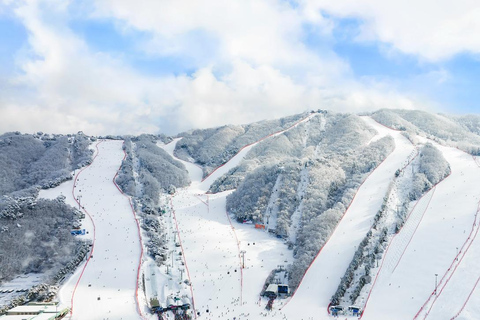 Vivaldi Park_ Ski & Lift Pass (7 hrs) with Seoul Shuttle [830am Myeongdong] Ski Equipment & Lift Pass (7 hrs)