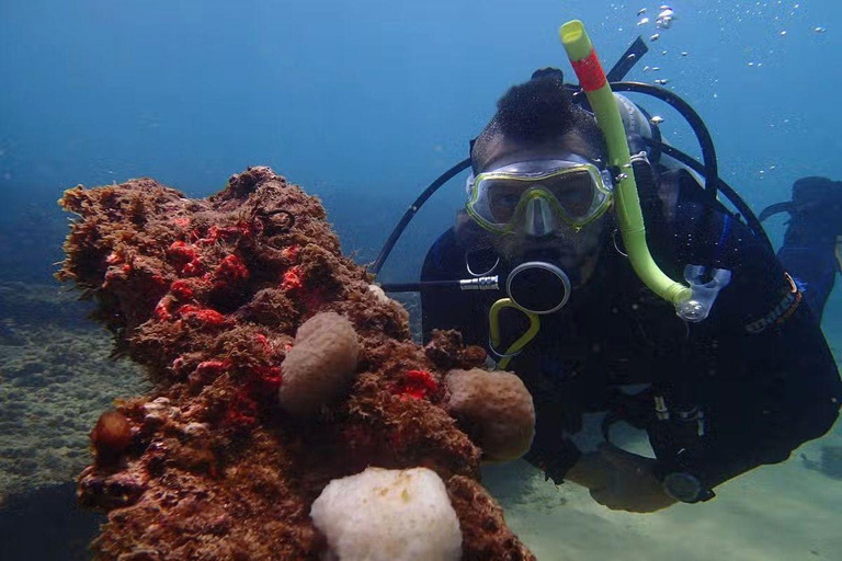 Salvador: Saída Embarcada para Mergulho em Naufrágio