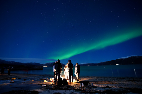 Tromsø: Tour dell&#039;aurora boreale con ritratto professionale gratuito