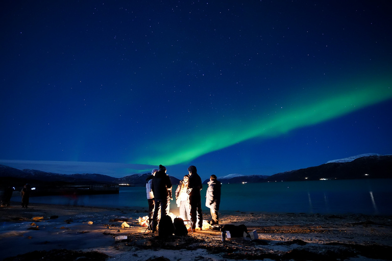 Tromsø: Northern Lights Tour with Free Professional Portrait