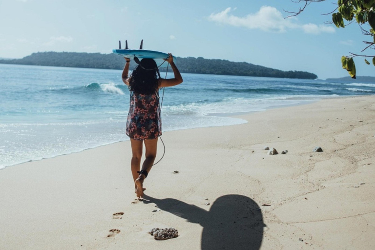 Santo: Tagestour zum Meeresschutzgebiet Dany Island mit Mittagessen