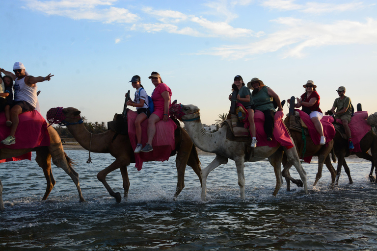 Vivez l&#039;aventure pendant 2,5 heures avec des chevaux et des chameaux.