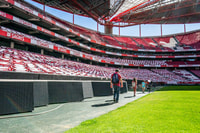 Lissabon, Luz Stadium Tour und SL Benfica Museum Ticket - Housity