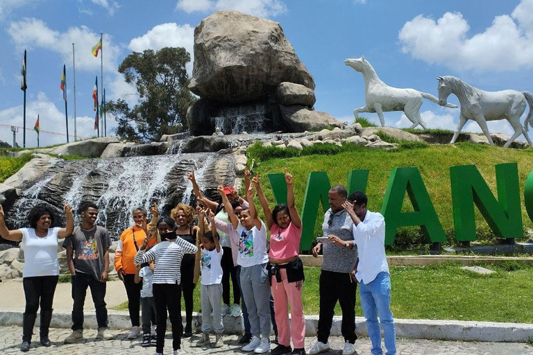 من أديس أبابا: رحلة نهارية من أديس أبابا إلى بحيرة ونشي كريتر مع وجبة غداء