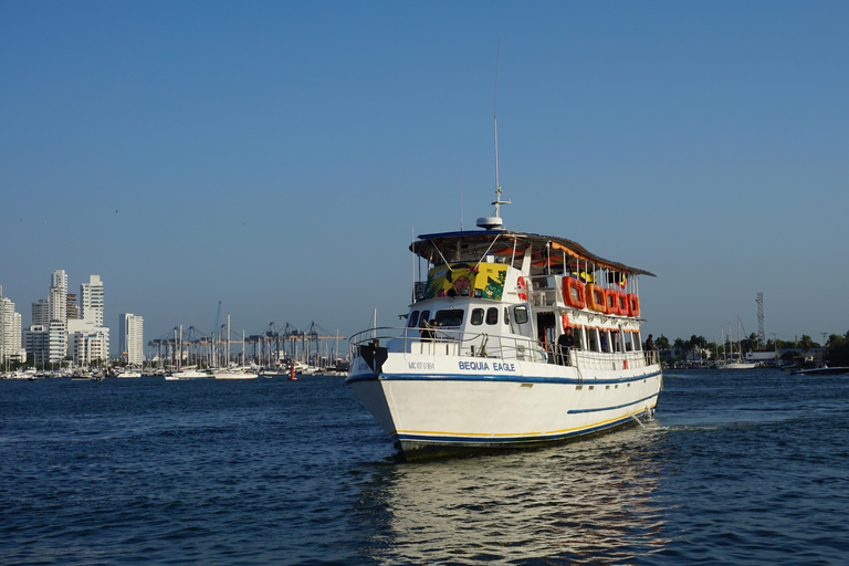 Carthagène : excursion en bateau de nuit avec dîner et open barCARTAGENA : Excursion en bateau de nuit blanche avec dîner et open bar