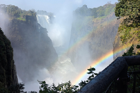 Victoria Falls: Historic Town Tour, Big Tree & Guided Walk