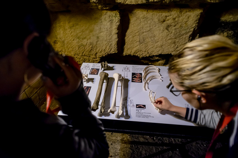 Paris: Catacombs Ticket and Audio Guide