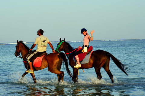 Marsa Alam: Zonsopgang te paard met ontbijtPaardrijtocht van 2 uur, zonder zwemstop