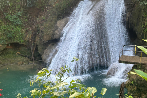 Private Blue Hole & Dunn's River Falls | Montego Bay Pick Up