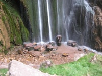 Excursie naar de Perolniyoc Waterfall + Lunch - Housity