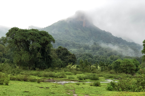 3 Tage in den Bale Mountains