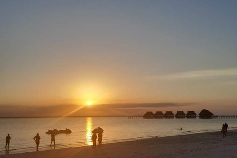 Mnemba eiland &amp;Nungwi Aquarium &amp; Zonsondergang bij kendwa (hele dag)