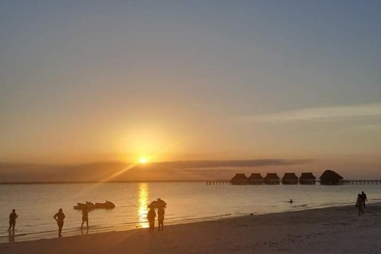 Mnemba eiland &amp;Nungwi Aquarium &amp; Zonsondergang bij kendwa (hele dag)