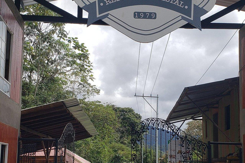 Cali: San Cipriano Reserve, Brujita Ride & Jungle Tubing San Cipriano Reserve Tour Without Transportation