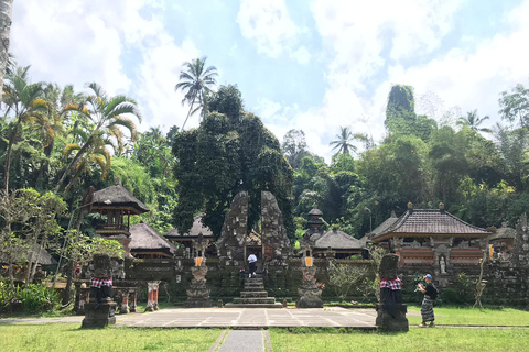 Ubud:Foresta delle scimmie, terrazze di riso, templi d&#039;acqua e cascate
