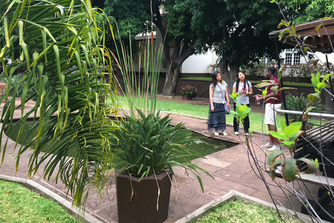 Victoria Falls Guided Tour with High Tea