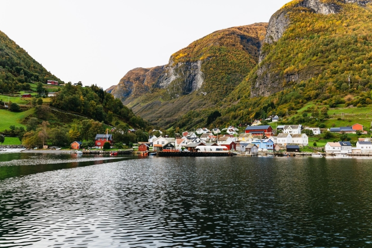 Bergen: excursión autoguiada de día completo de ida y vuelta