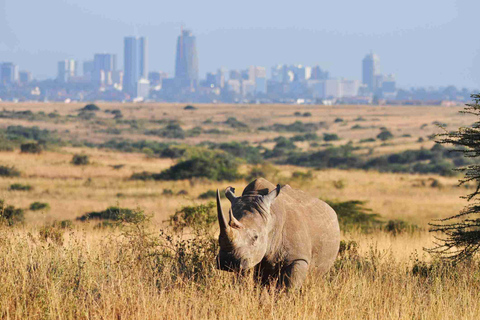 Parque nacional, Giraffe Center e bebê elefante em NairóbiParque Nacional, Centro de Girafas e Bebê Elefante em Nairobi