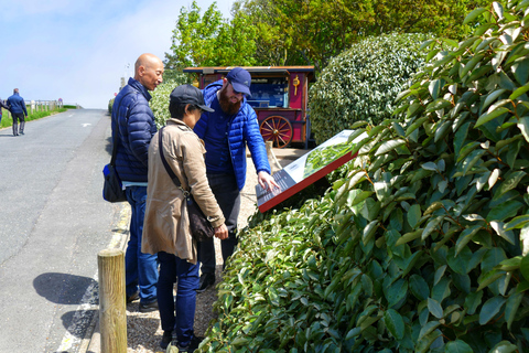 From Paris: Rouen, Etretat & Honfleur Private Day Trip Rouen Etretat and Honfleur: Private Tour from Paris