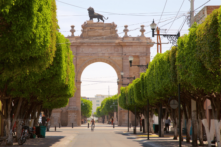 Leon: Guided Tour with Tastings