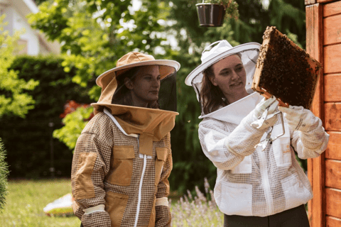 De Ljubljana : Tout sur les abeilles