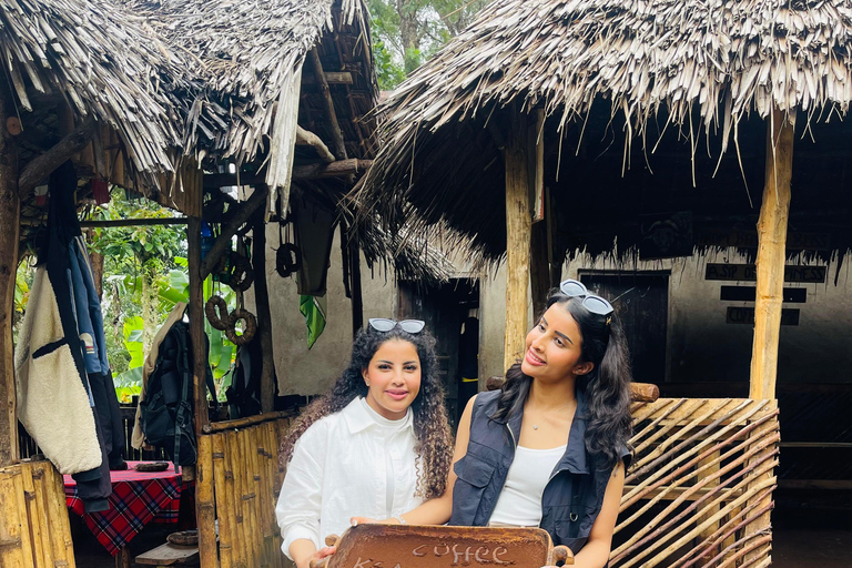 Arusha |Moshi: tour del villaggio Maasai, cascate e caffèArusha: villaggio Masai, cascata Materuni e tour del caffè