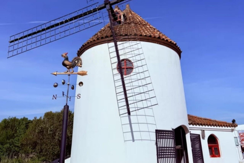 Corée, mont Hallasan, parc Echoland, train forestier et billet d&#039;entréeCorée, parc Echoland du mont Hallasan, train forestier et billet d&#039;entrée