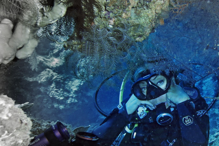 Punta Cana: Dive the Coral Paradise of Catalina Island