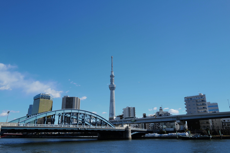 Tokyo Tour: Local Attractions, visit of Mosque & Halal Lunch