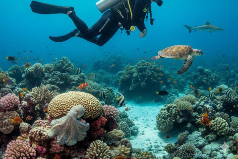 Antalya Scuba Diving for All Levels with Instructor
