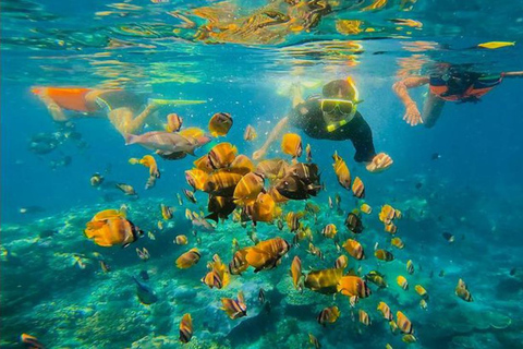 Bali Est : Snorkeling nella Laguna Blu - Tutto inclusoSnorkeling e rafting