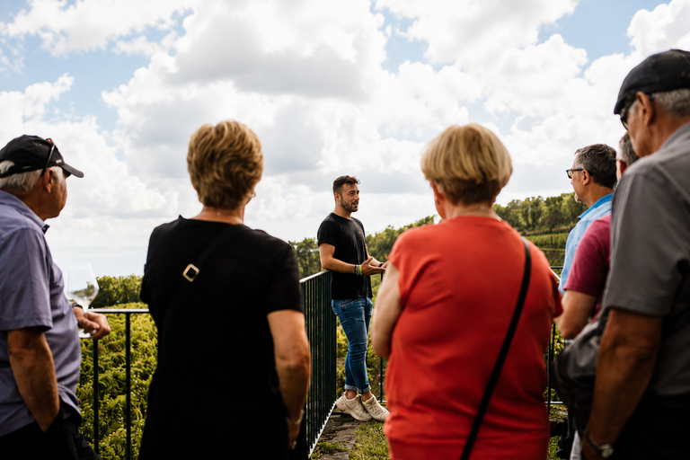 Etna + Wine Tasting Experience in a Winery and Lunch included Etna + Wine Tasting Experience in a Winery with Lunch included