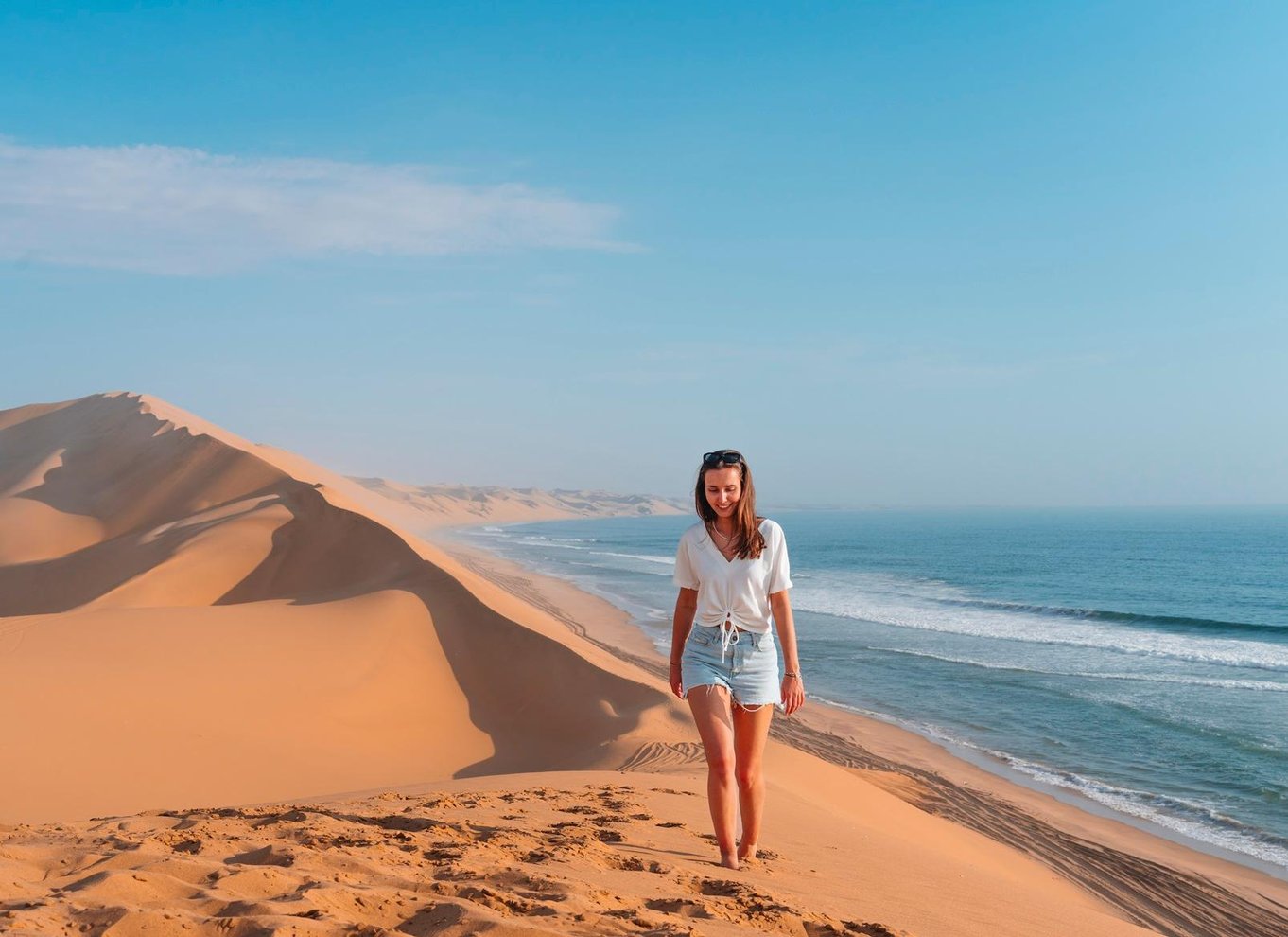 Walvis Bay: 4x4 ørkenudflugt til Sandwich Harbour Bay